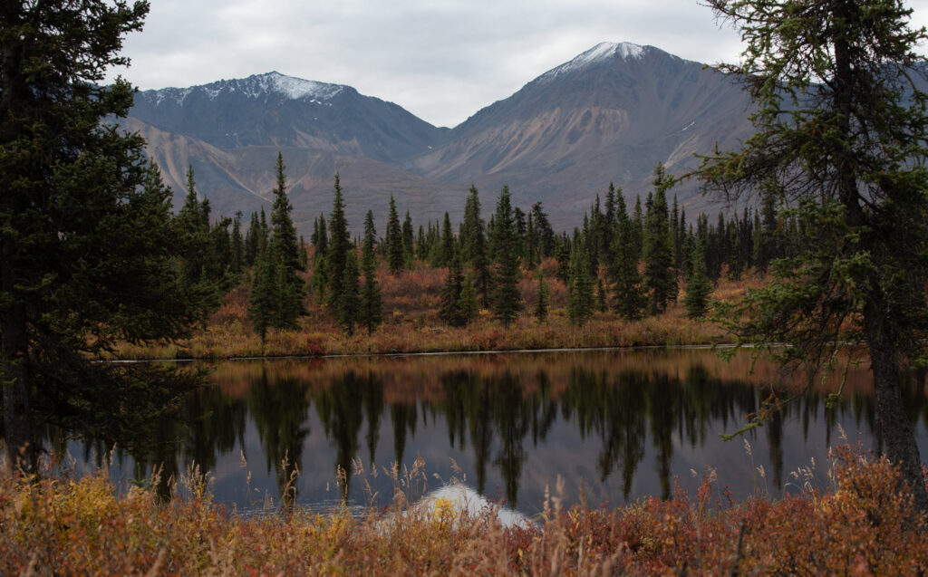 Denali National Park and Preserve mountains reflecting in lake